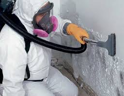 Asbestos and Lead Testing During Mold Inspection in Graham, TX